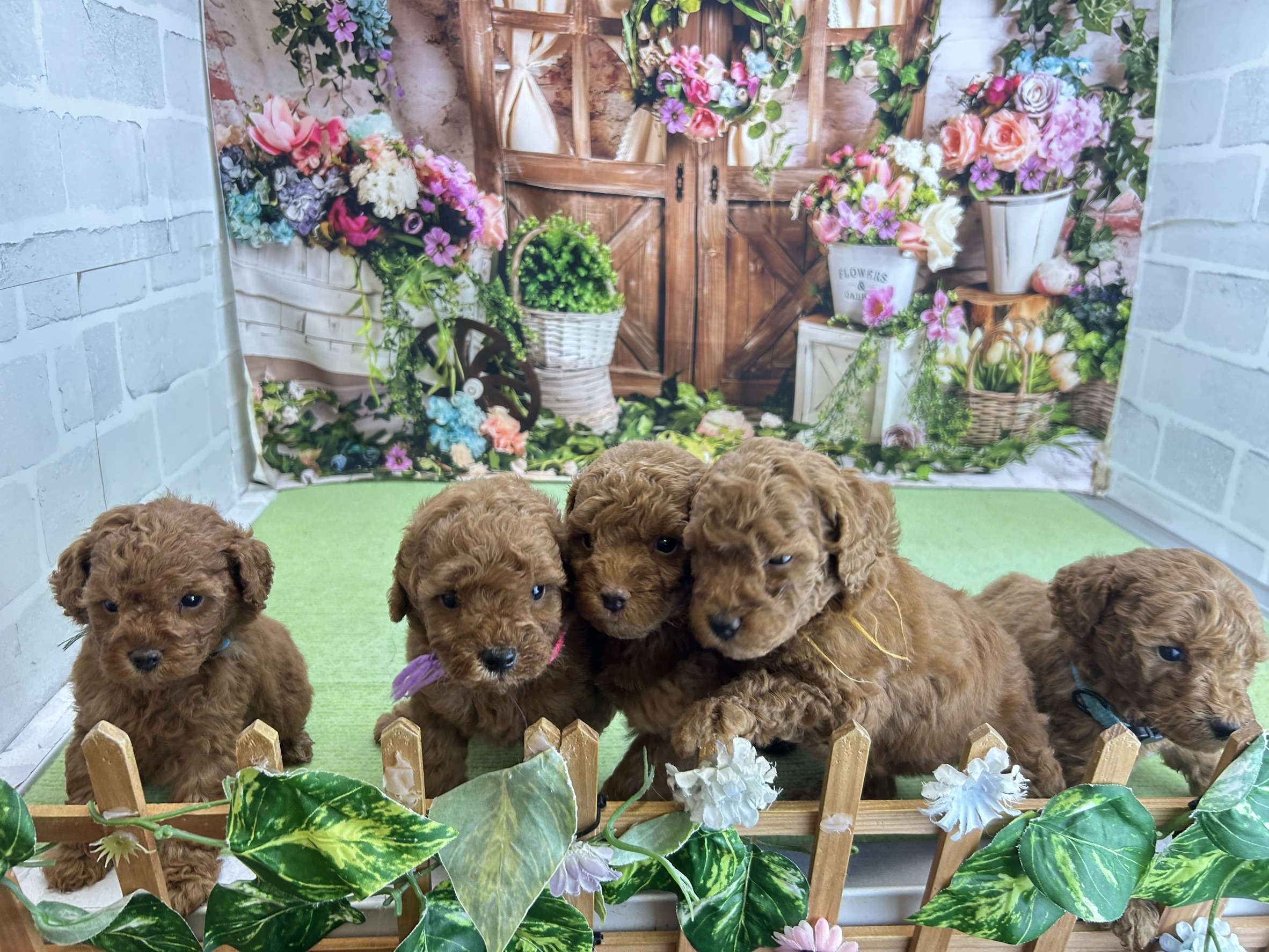 赤ちゃん写真2-3