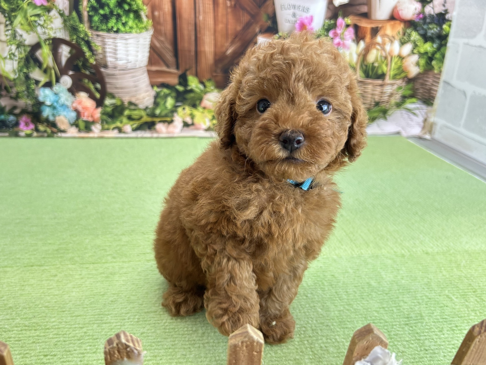 赤ちゃん写真3-1