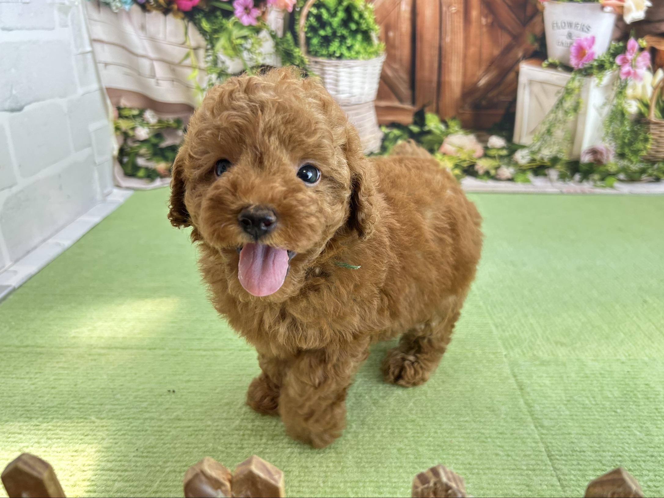 赤ちゃん写真3-2