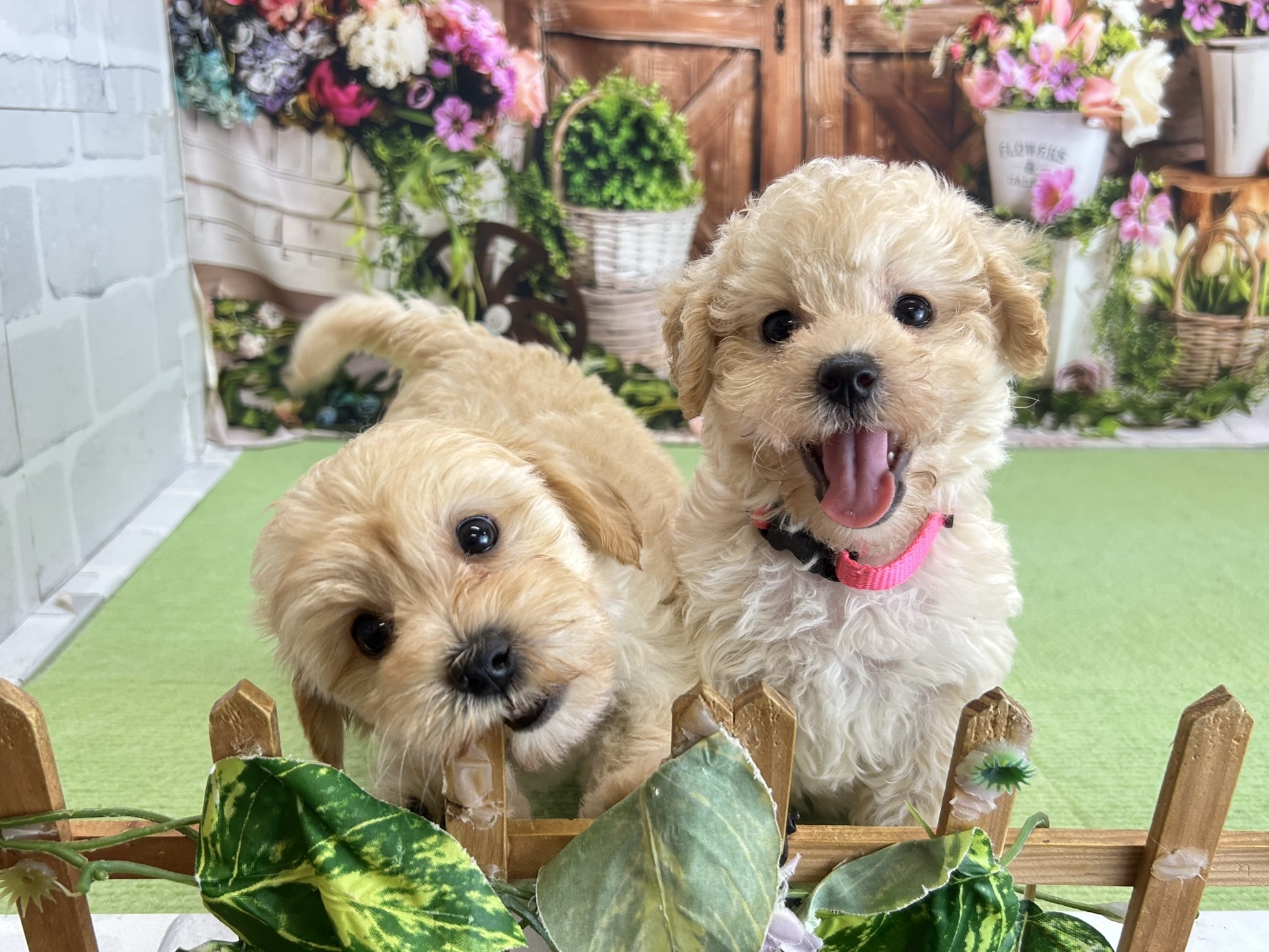 赤ちゃん写真3-3