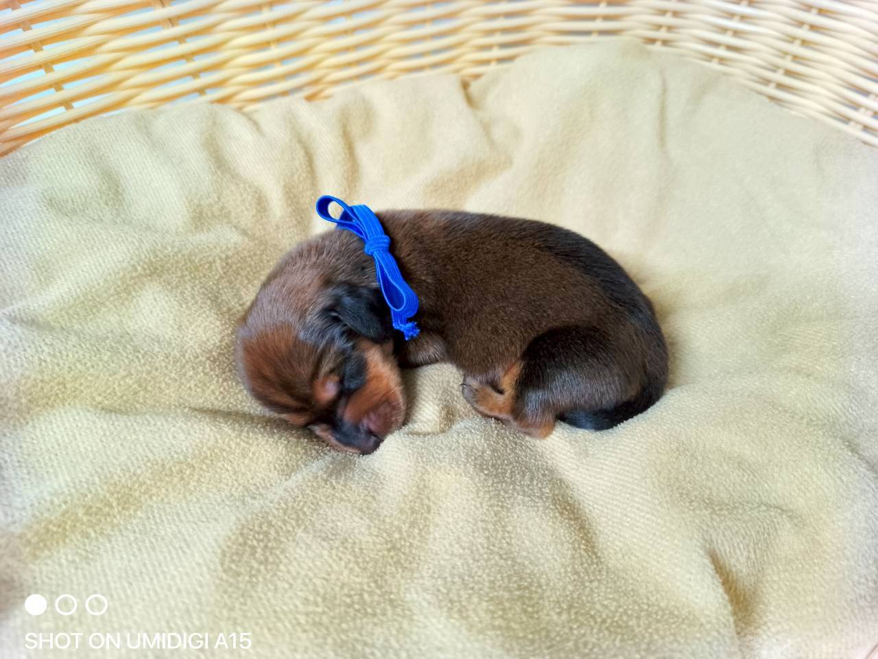 赤ちゃん写真1-2