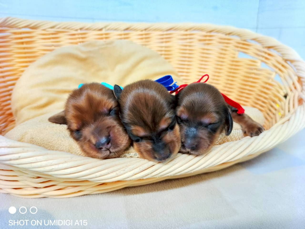 赤ちゃん写真1-3