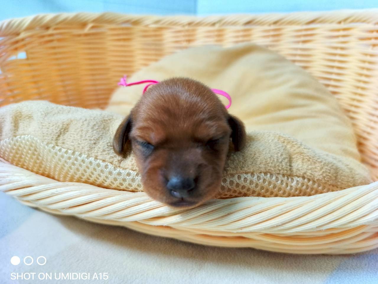 赤ちゃん写真1-1