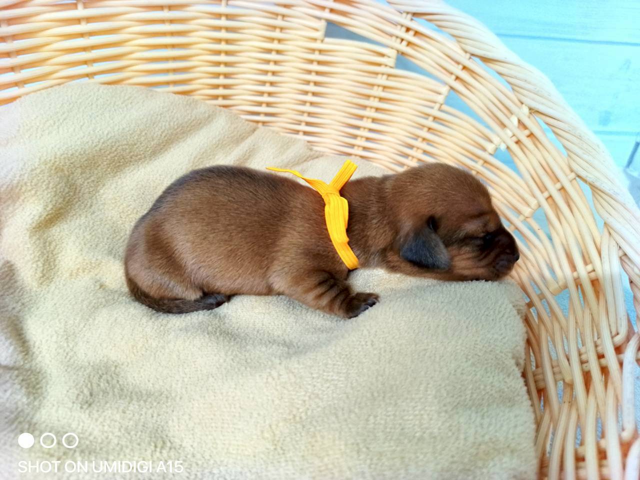 赤ちゃん写真1-2