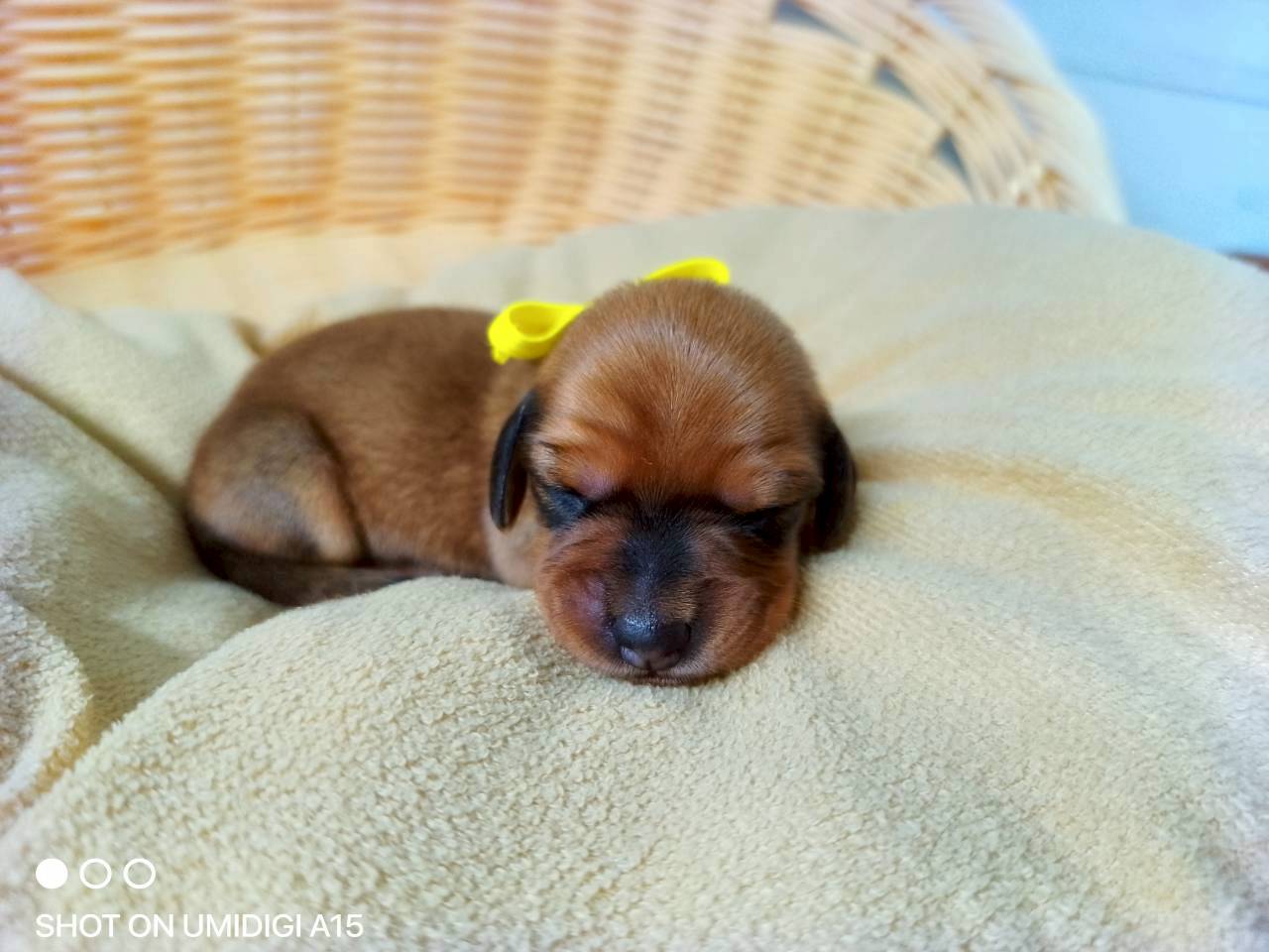 赤ちゃん写真1-1