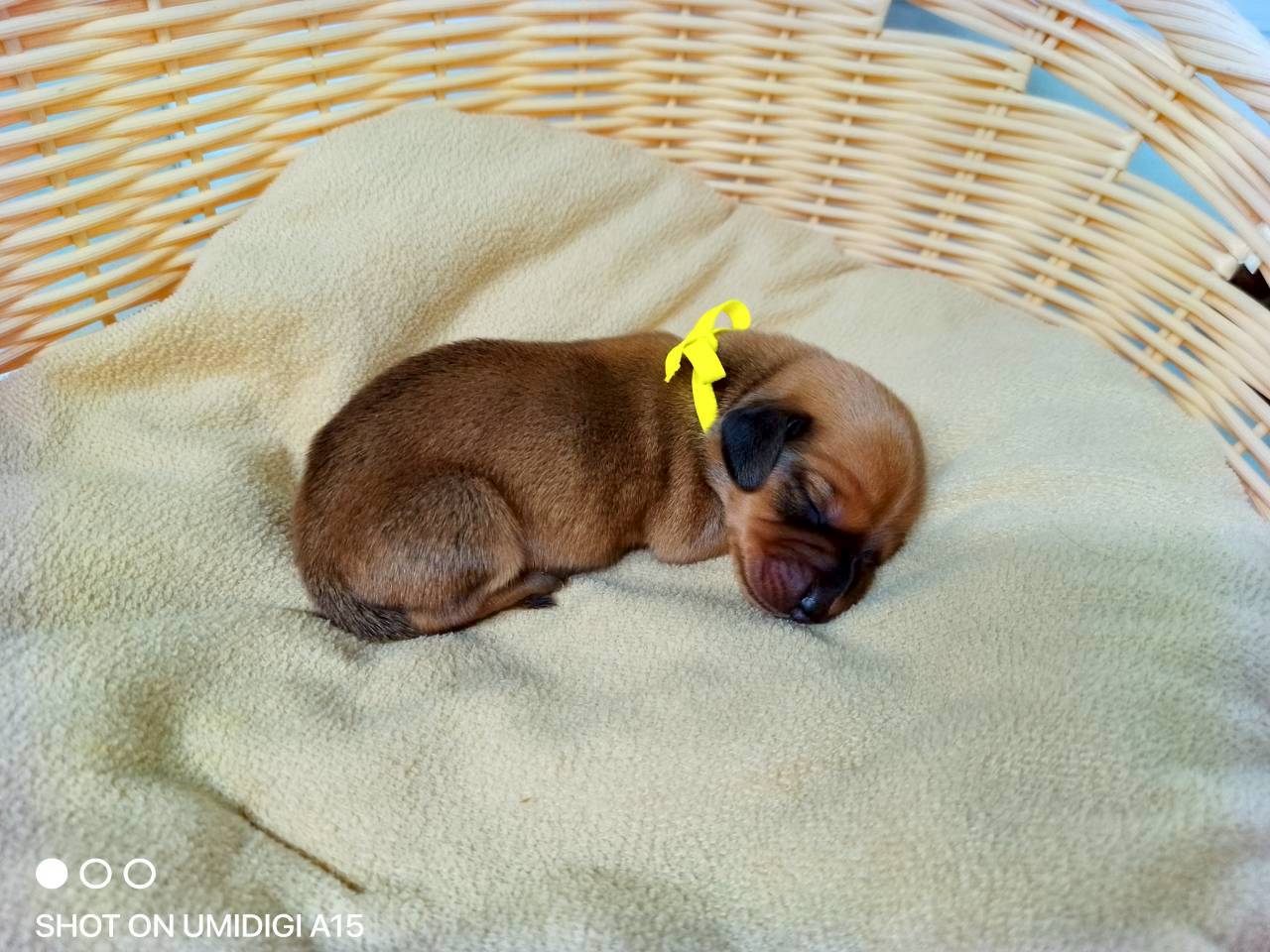 赤ちゃん写真1-2