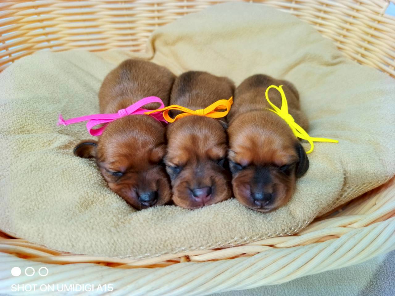 赤ちゃん写真1-3