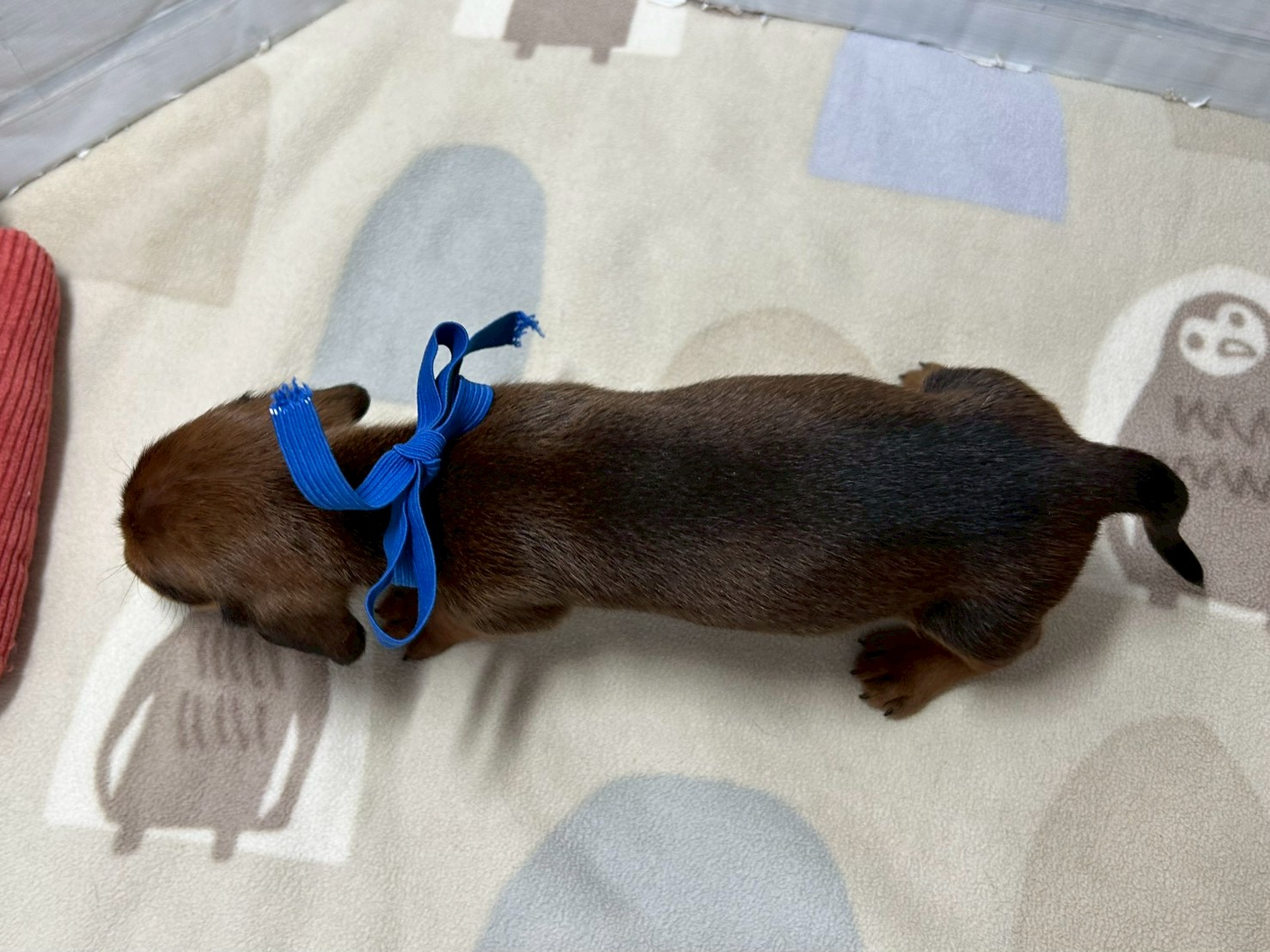 赤ちゃん写真2-3