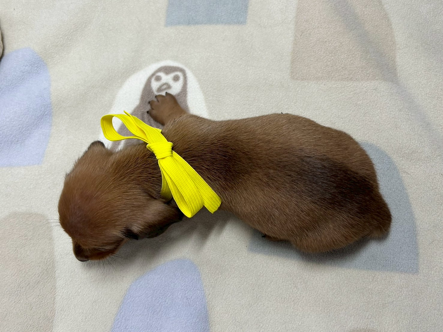 赤ちゃん写真2-3