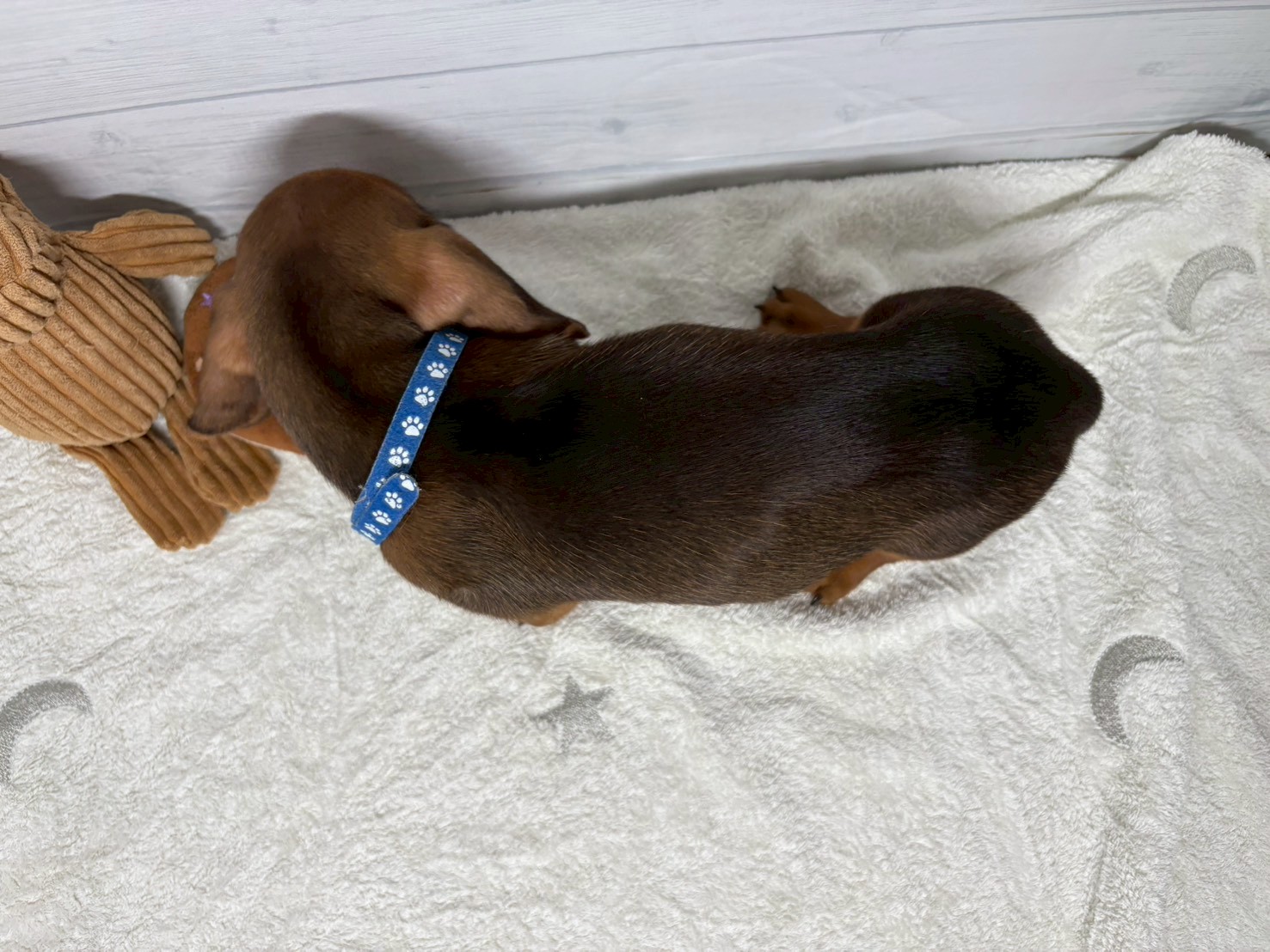 赤ちゃん写真3-3