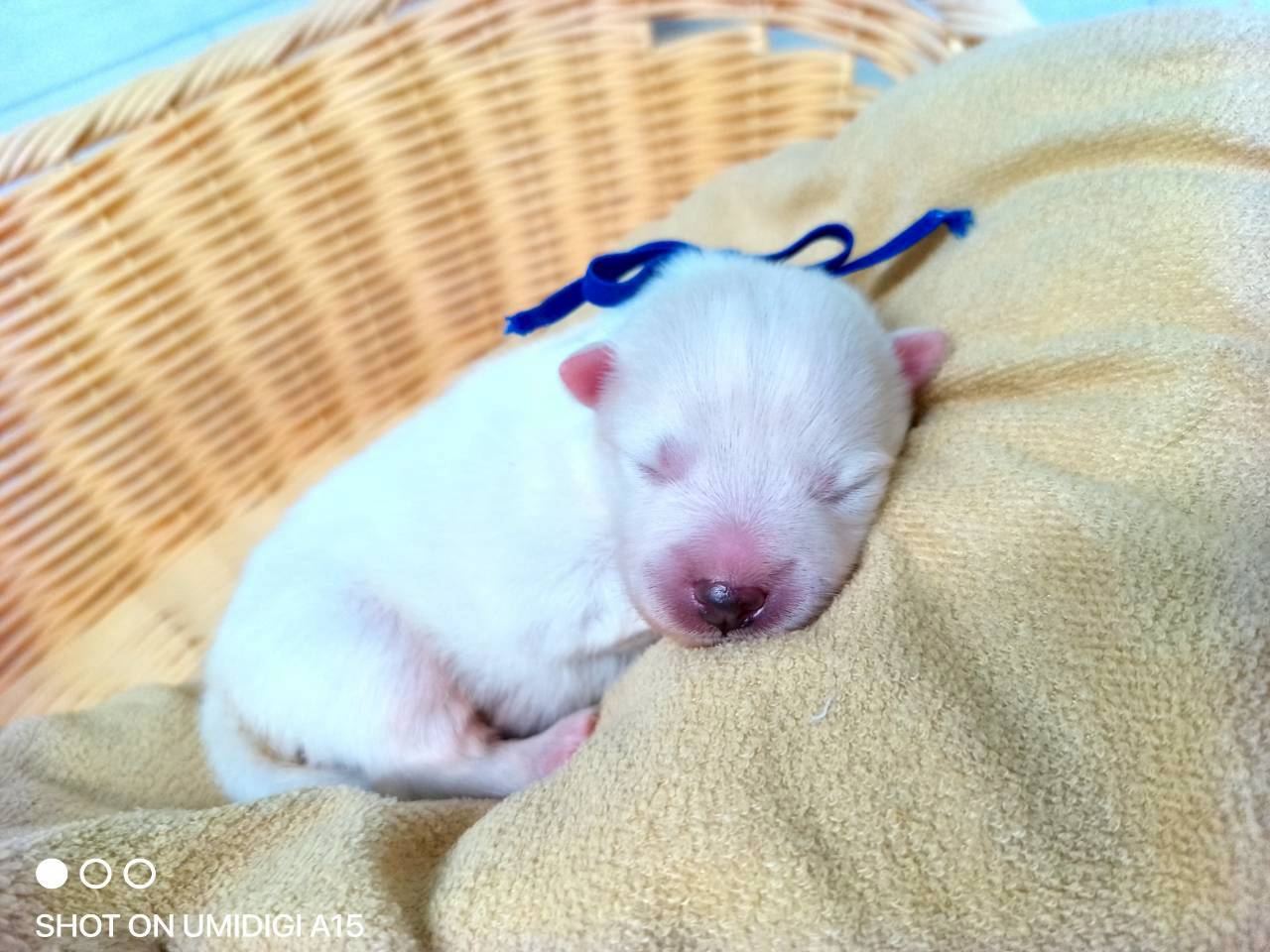 赤ちゃん写真1-1