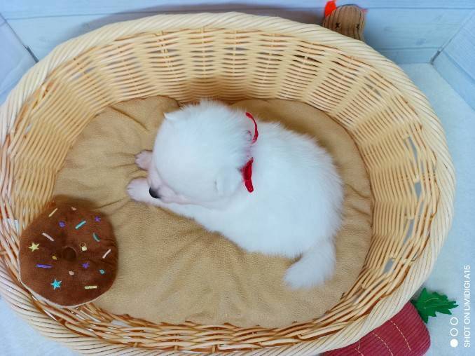 赤ちゃん写真2-3