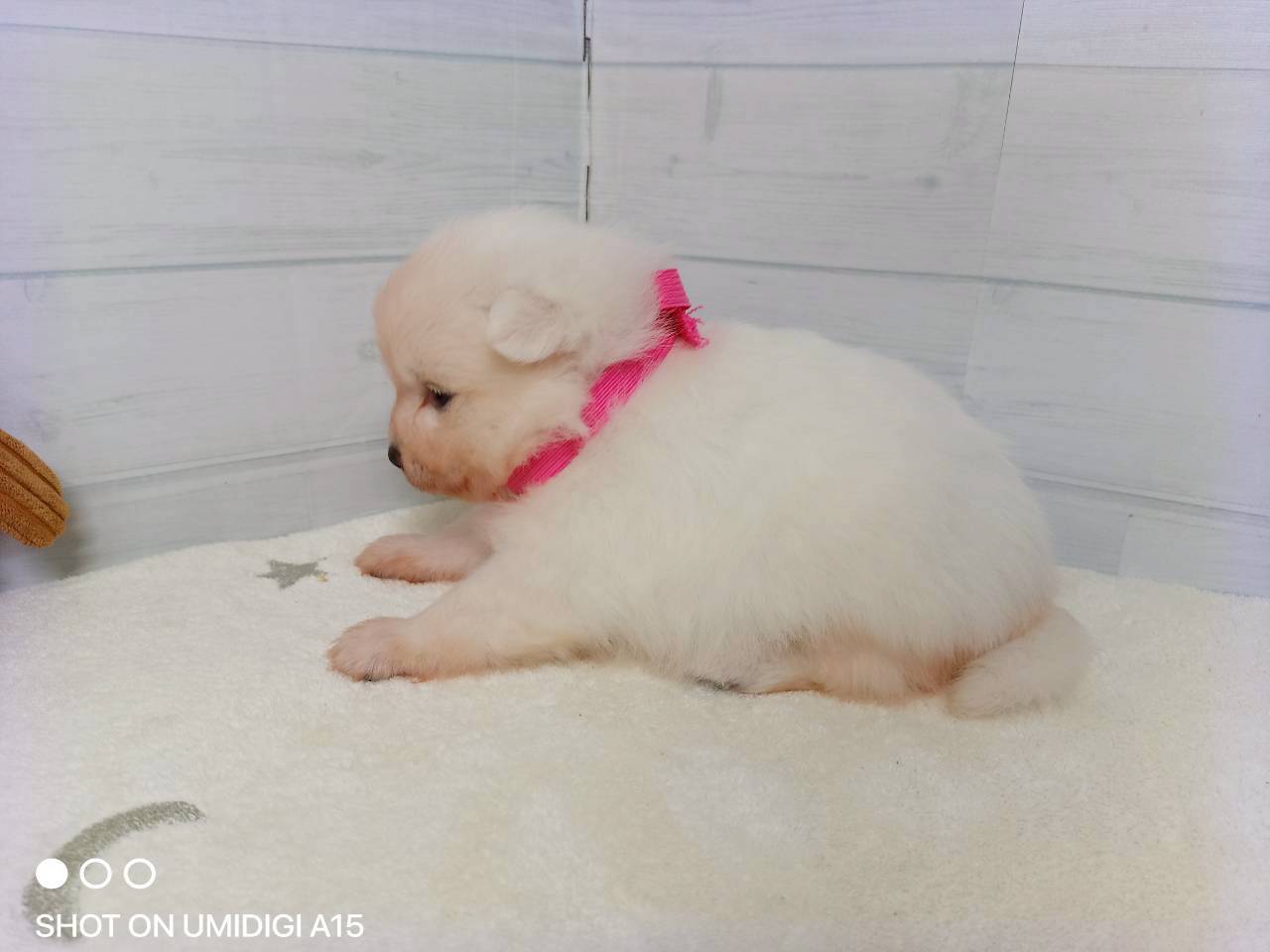 赤ちゃん写真2-2