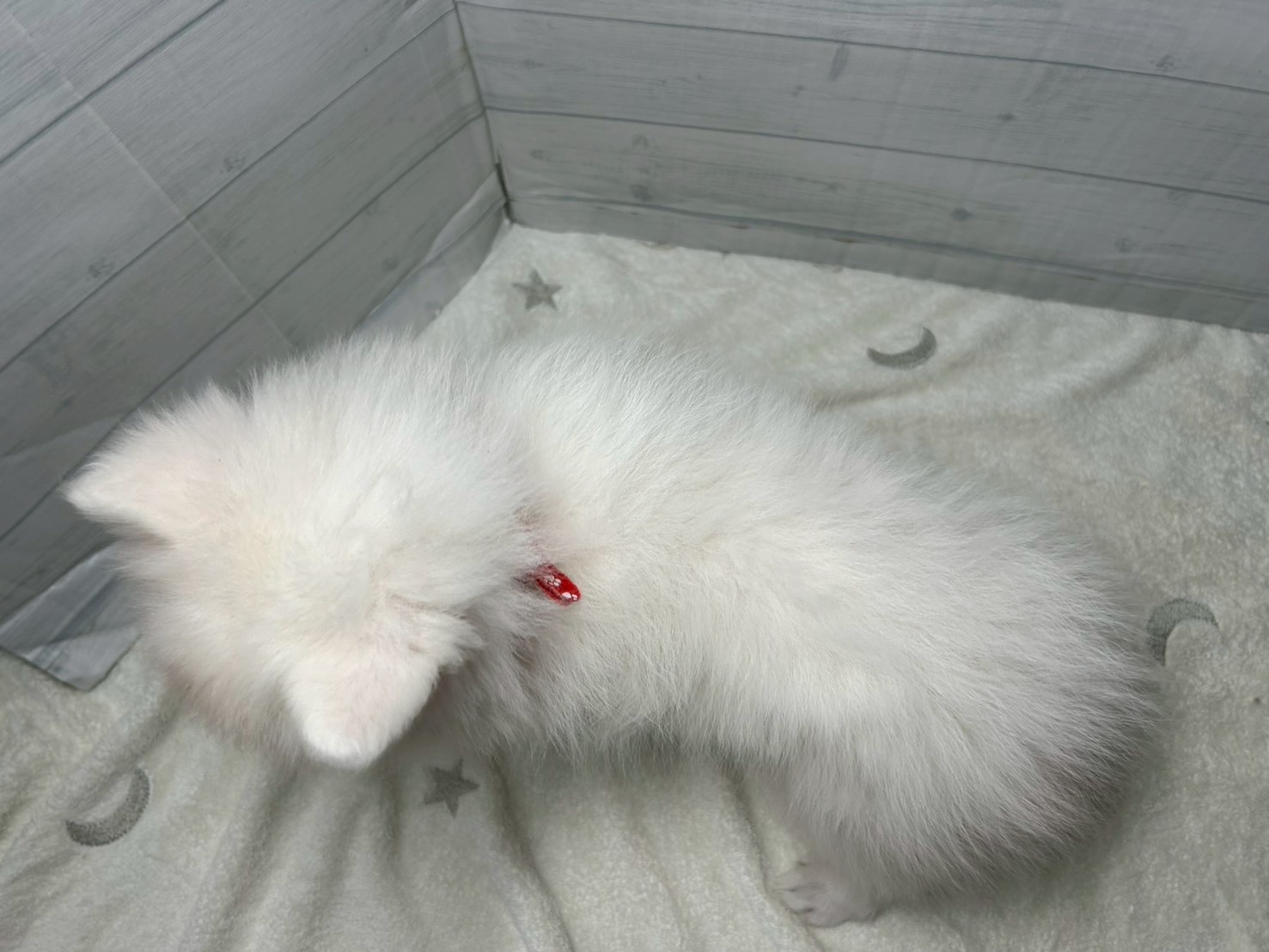 赤ちゃん写真3-3