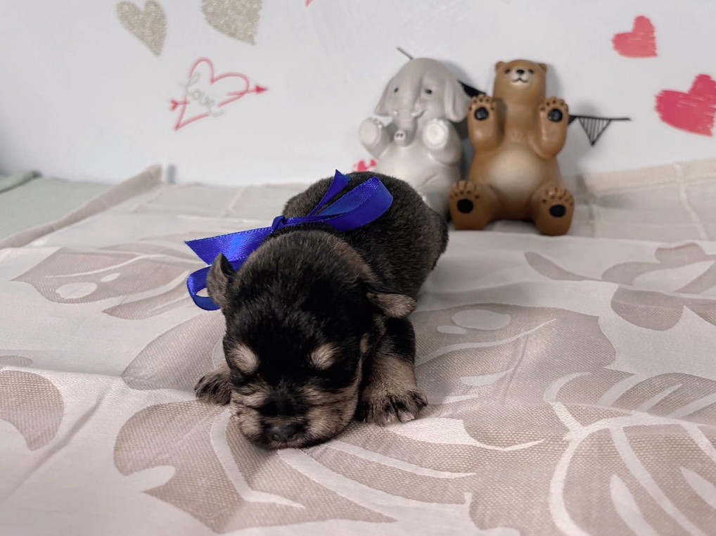 赤ちゃん写真1-1