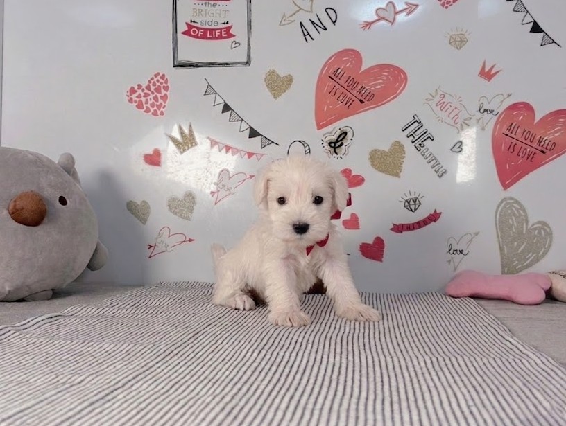 赤ちゃん写真2-2