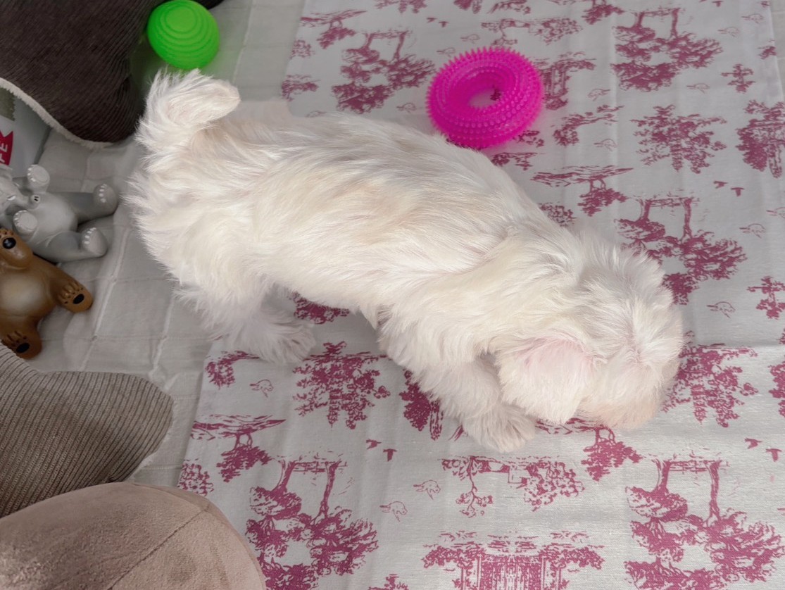 赤ちゃん写真3-3
