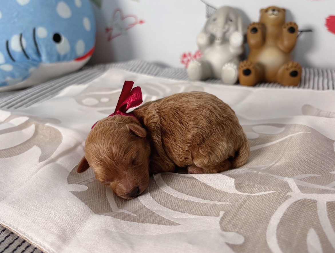 赤ちゃん写真1-2