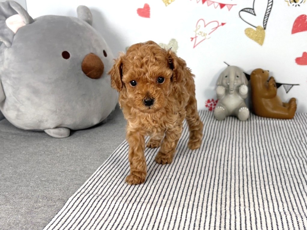 赤ちゃん写真2-1