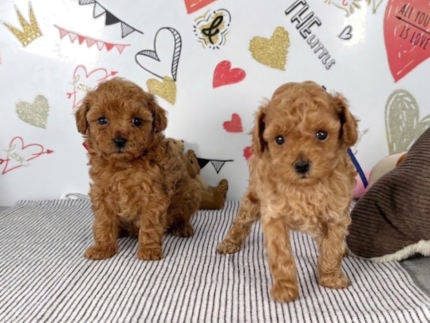 赤ちゃん写真2-3