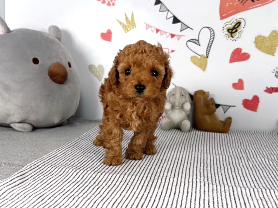 赤ちゃん写真2-1