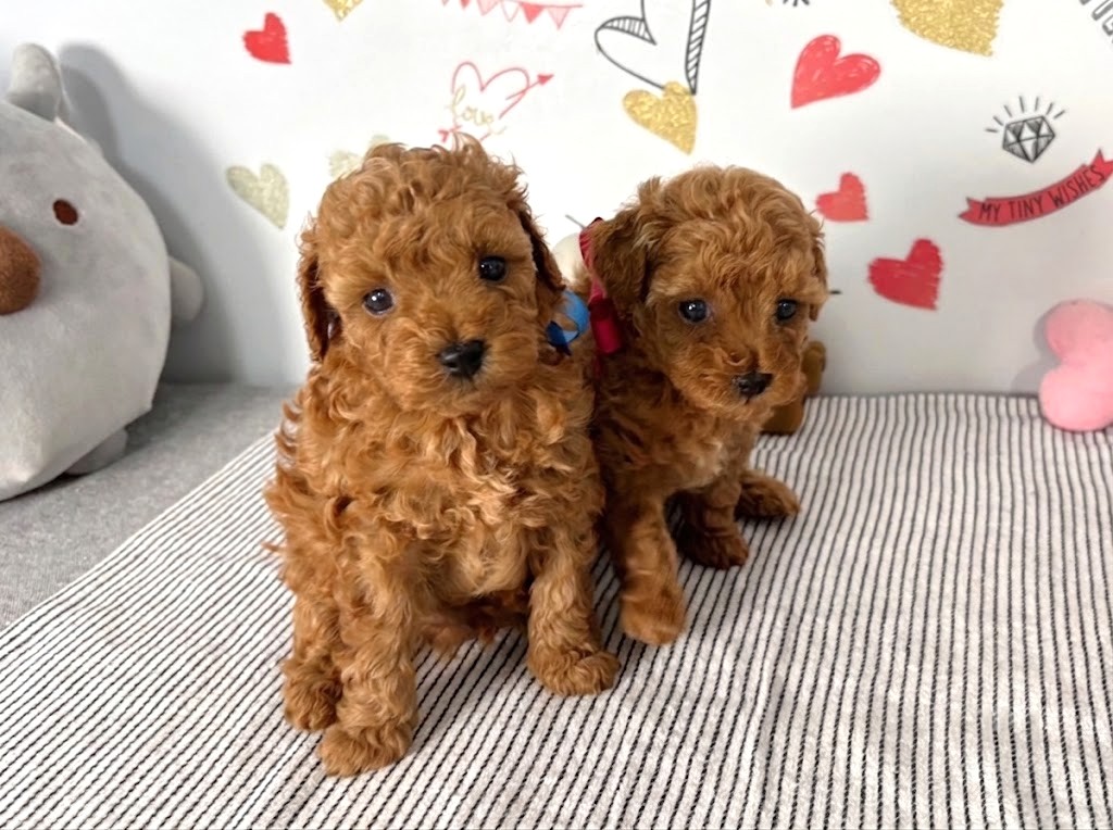 赤ちゃん写真2-3