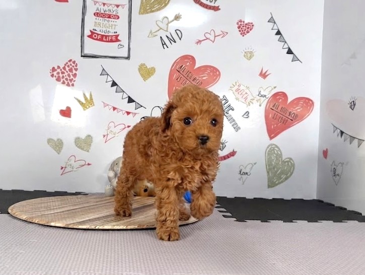 赤ちゃん写真3-1