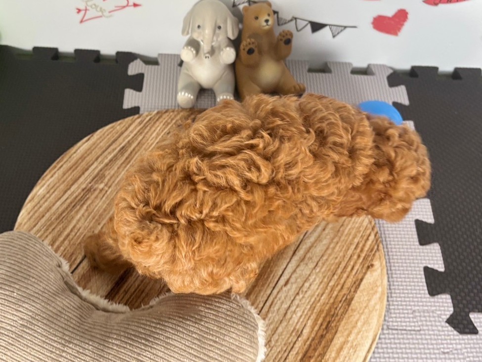 赤ちゃん写真3-3