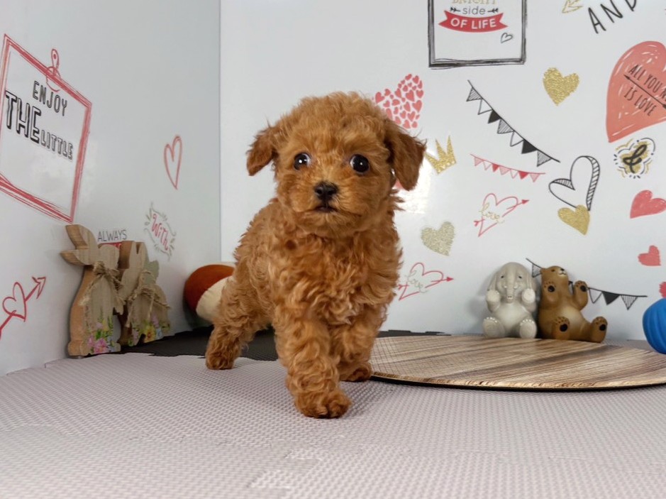 赤ちゃん写真3-1