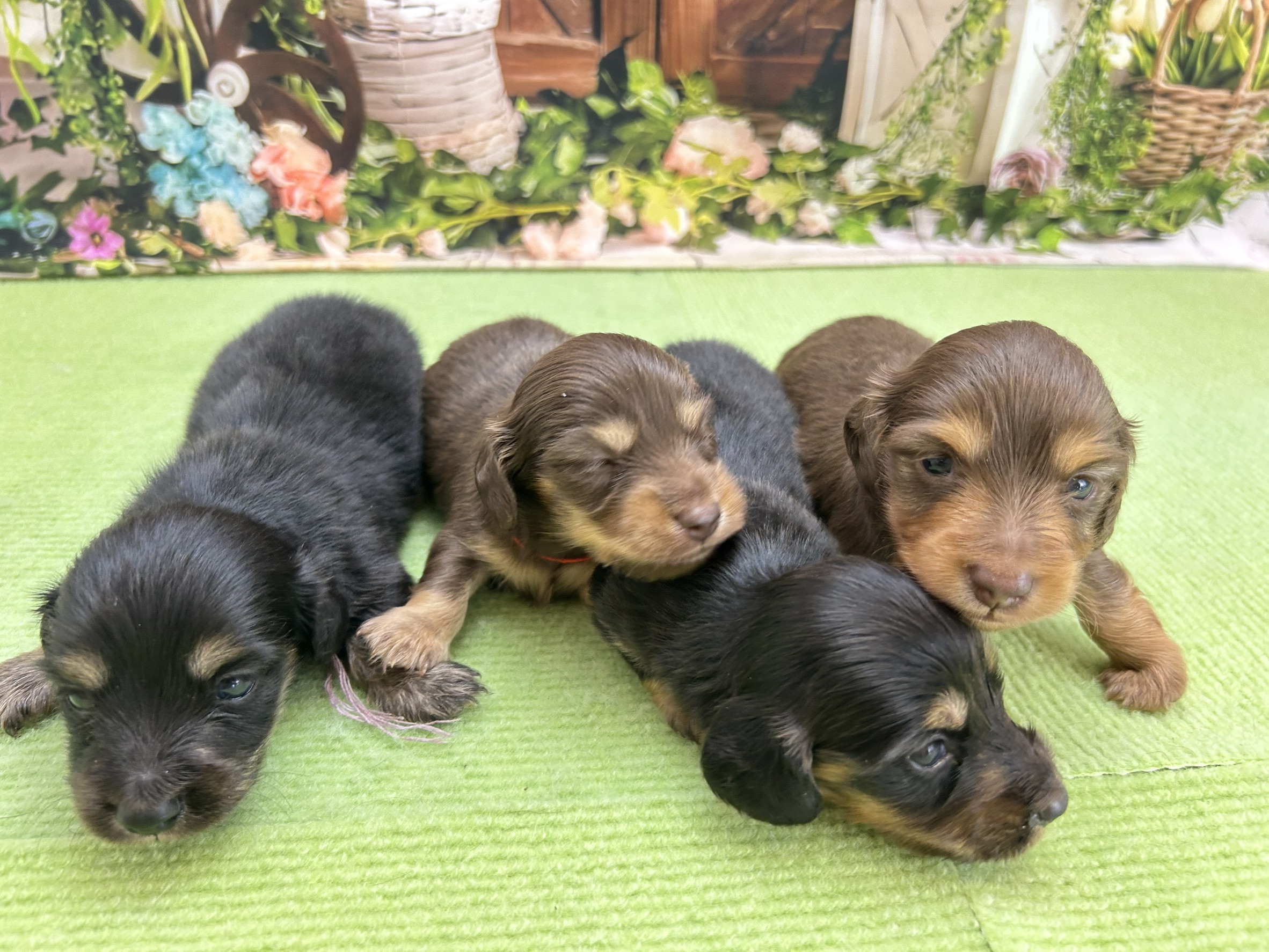 赤ちゃん写真1-3
