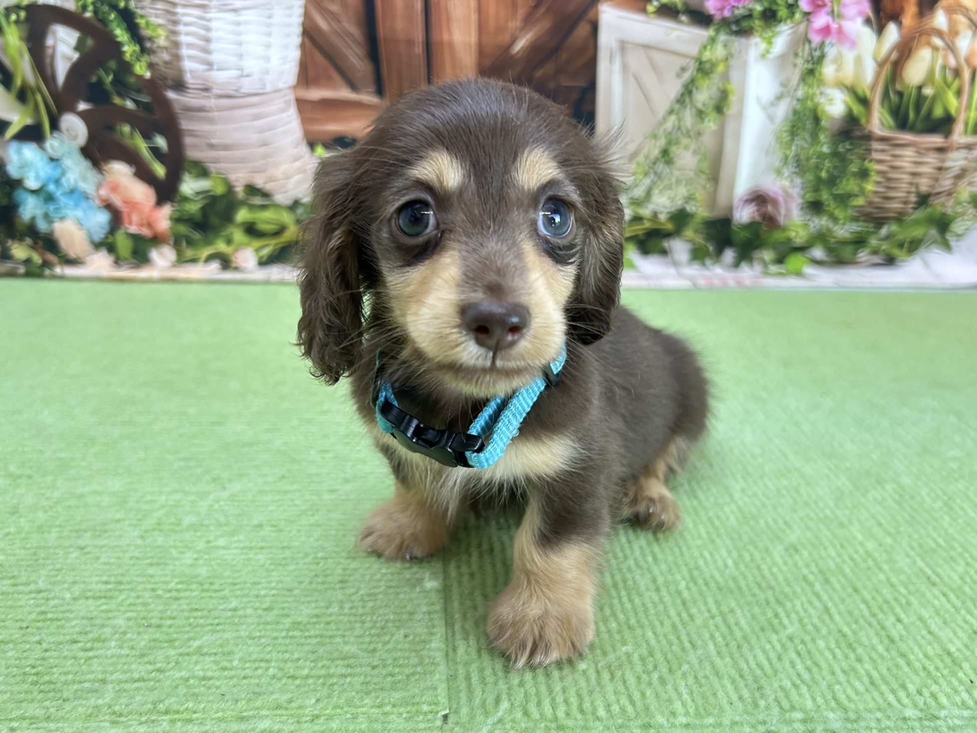 赤ちゃん写真3-1