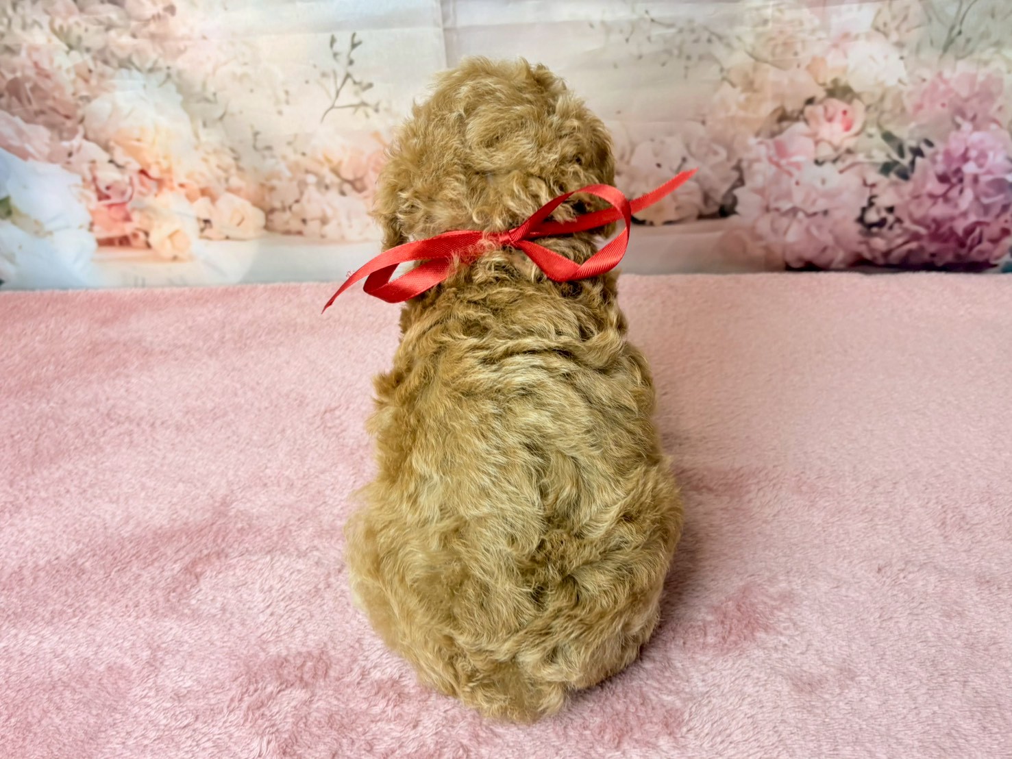 赤ちゃん写真3-3