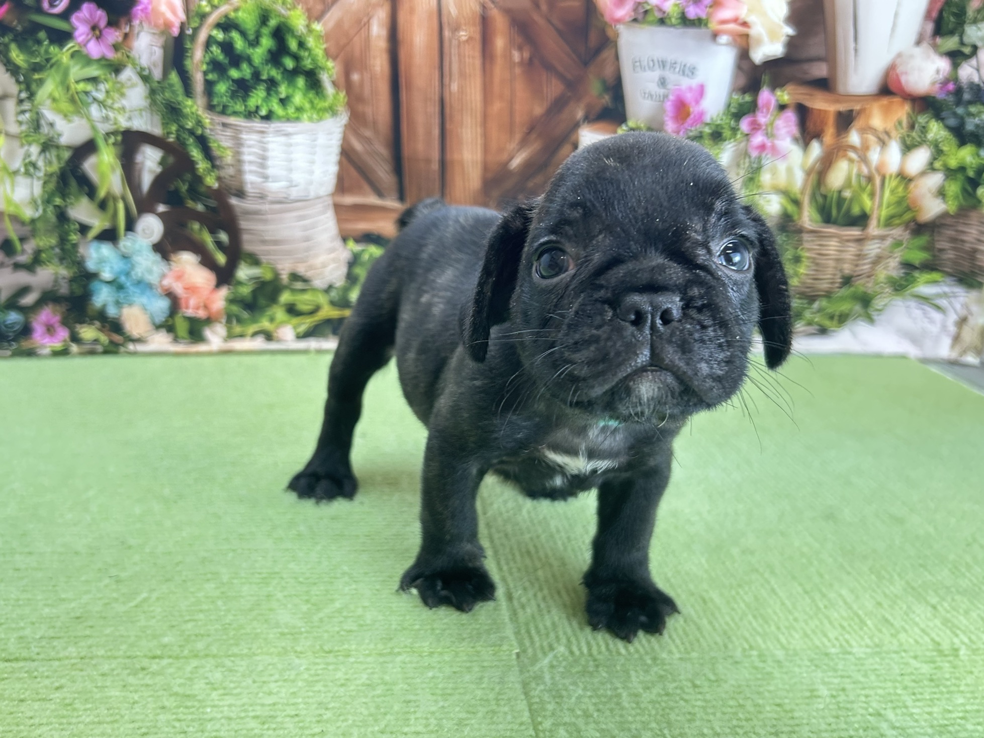 赤ちゃん写真3-1