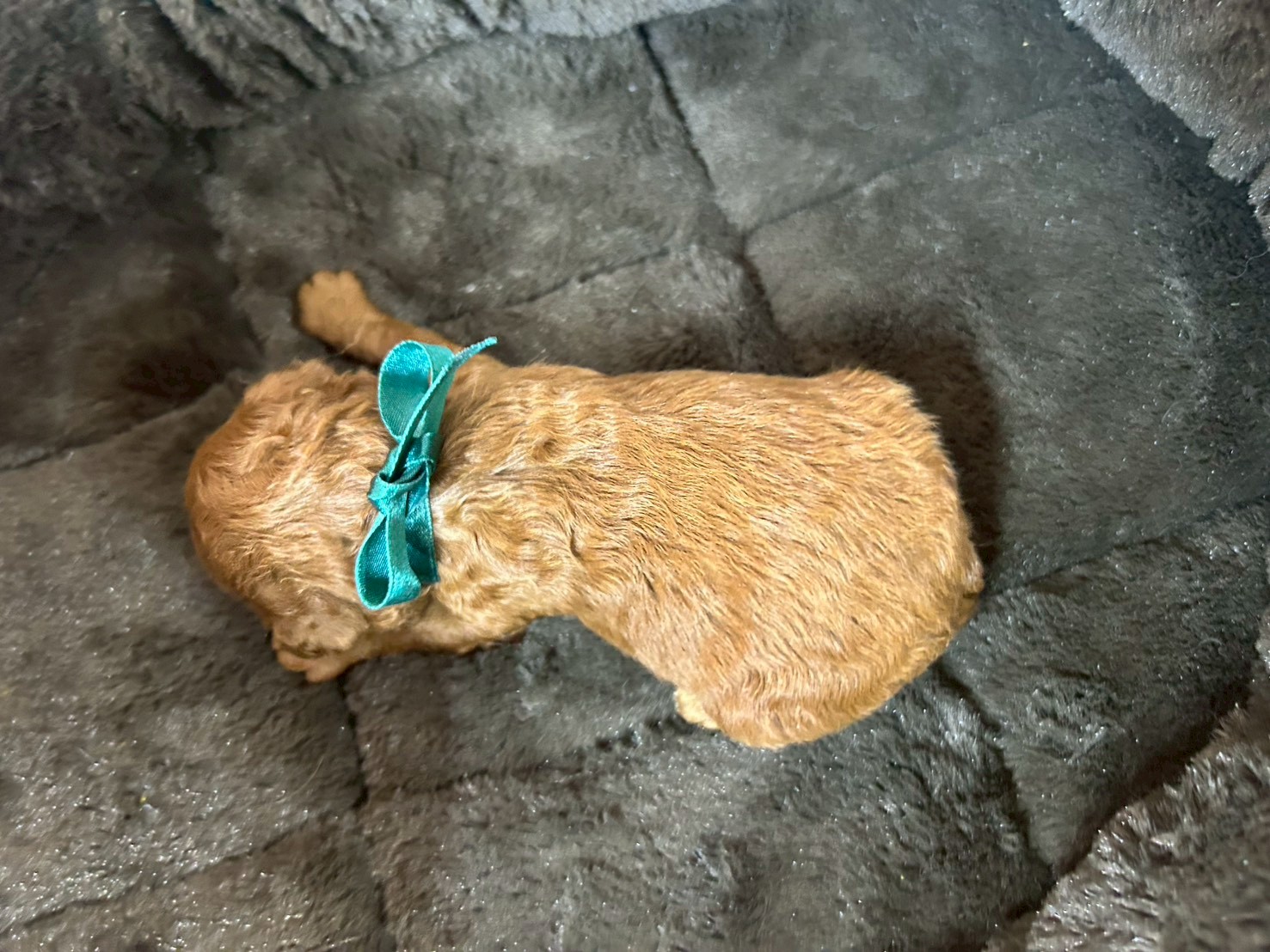 赤ちゃん写真1-3
