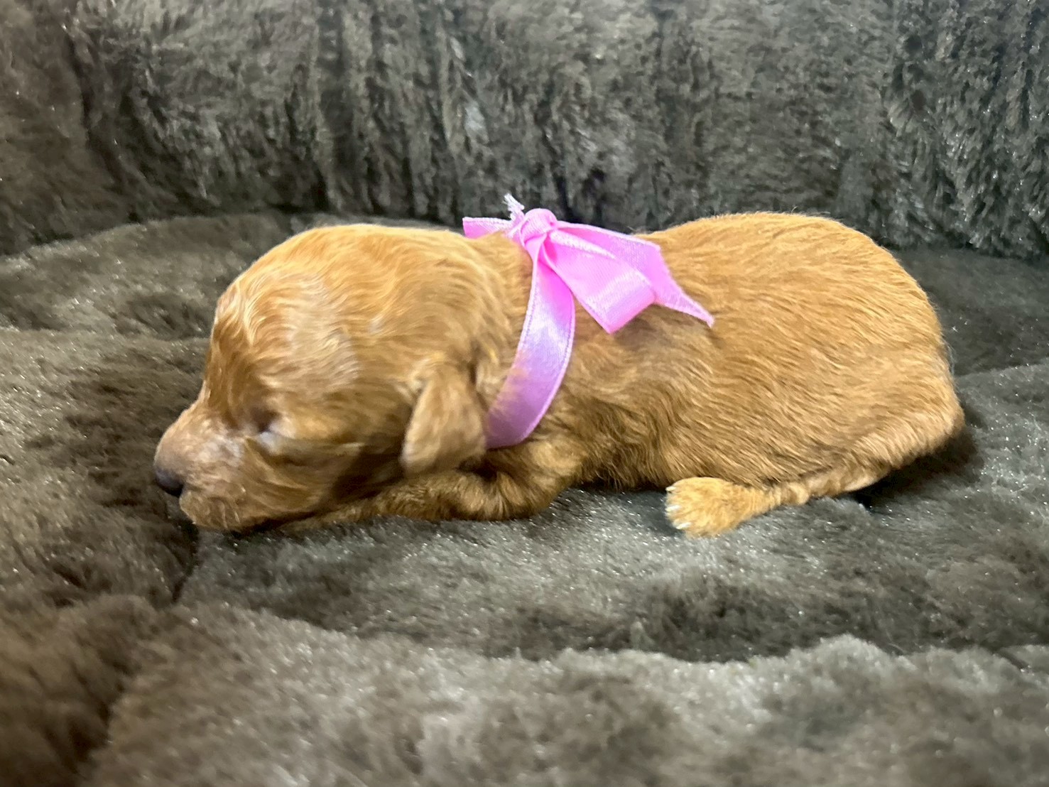 赤ちゃん写真1-2