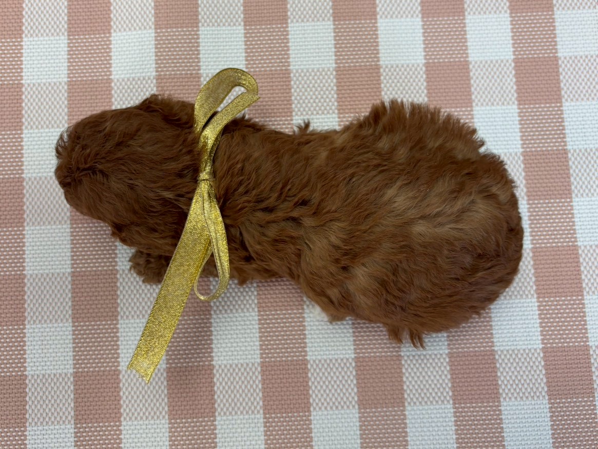 赤ちゃん写真2-3