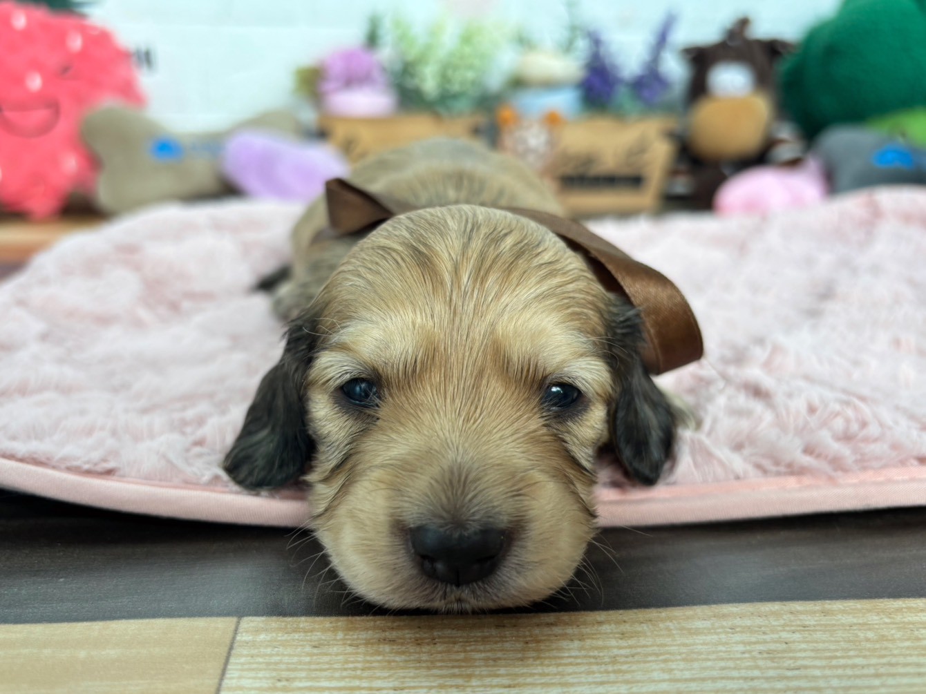 赤ちゃん写真2-1