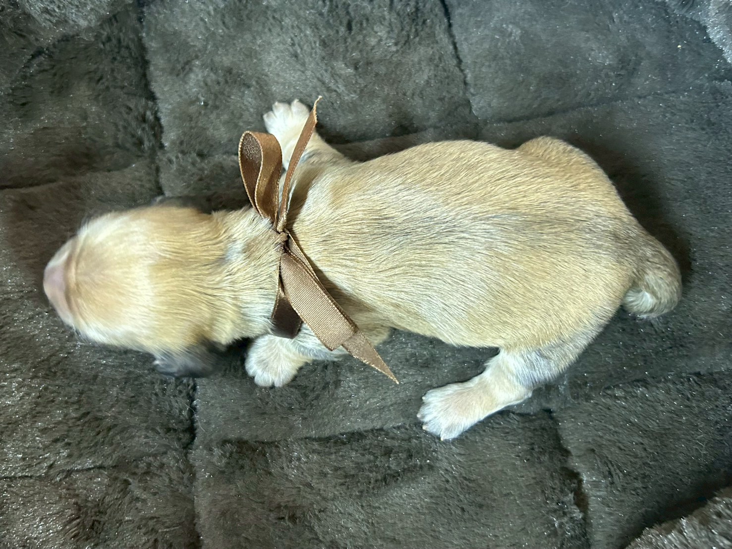 赤ちゃん写真1-3