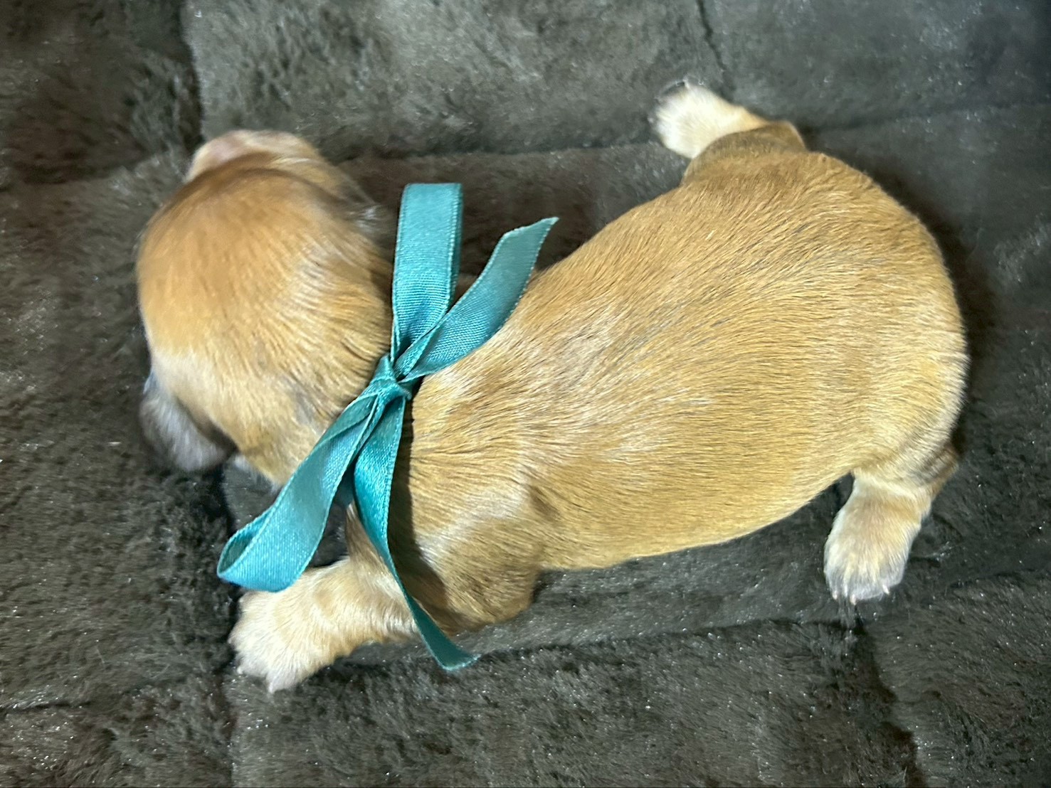 赤ちゃん写真1-3