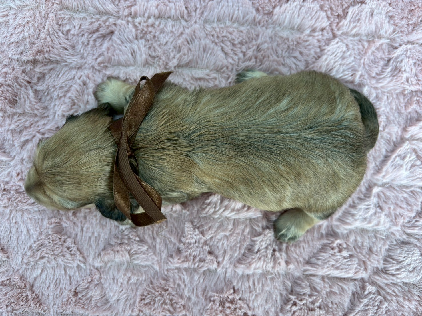 赤ちゃん写真2-3