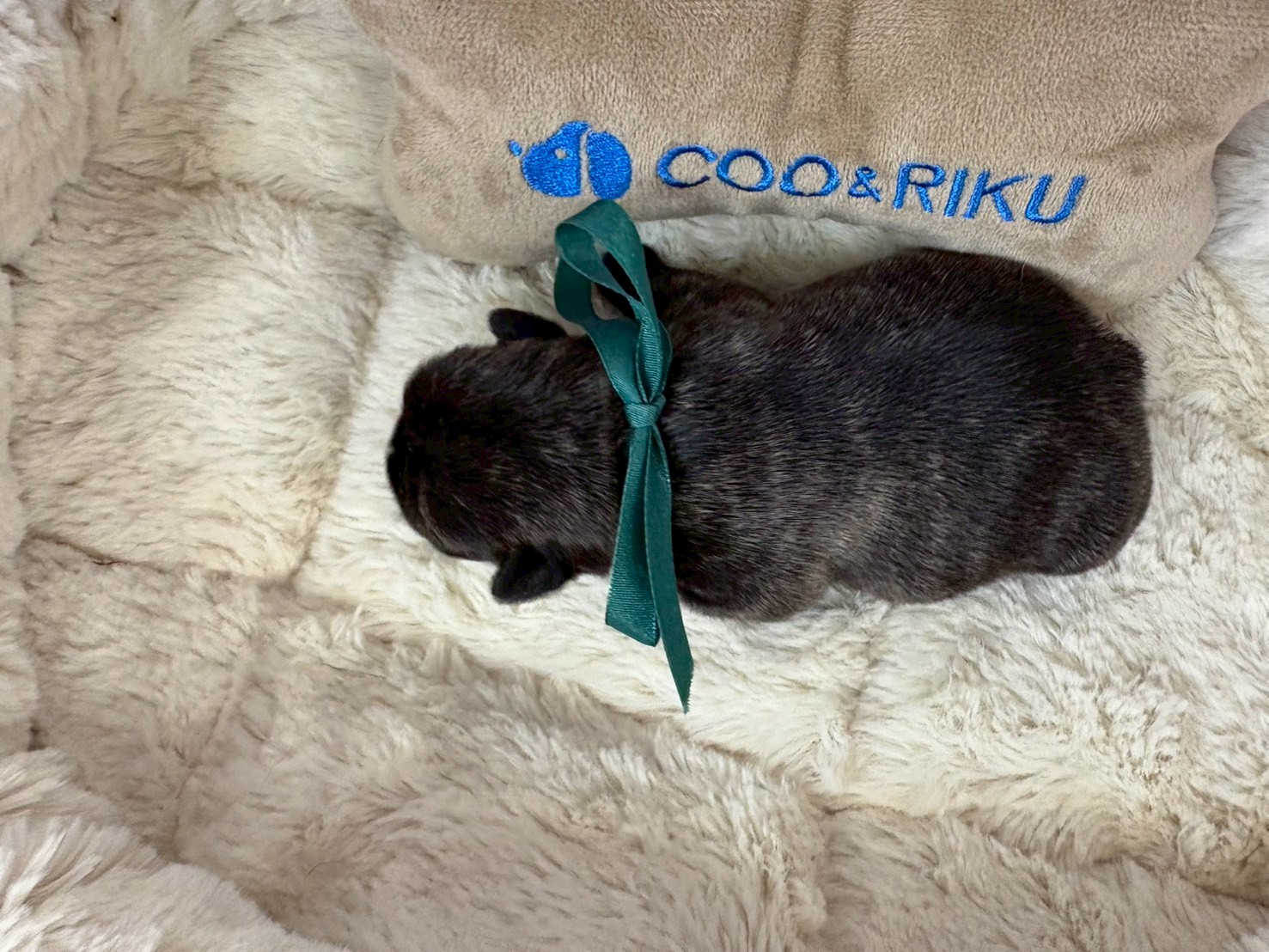 赤ちゃん写真1-3