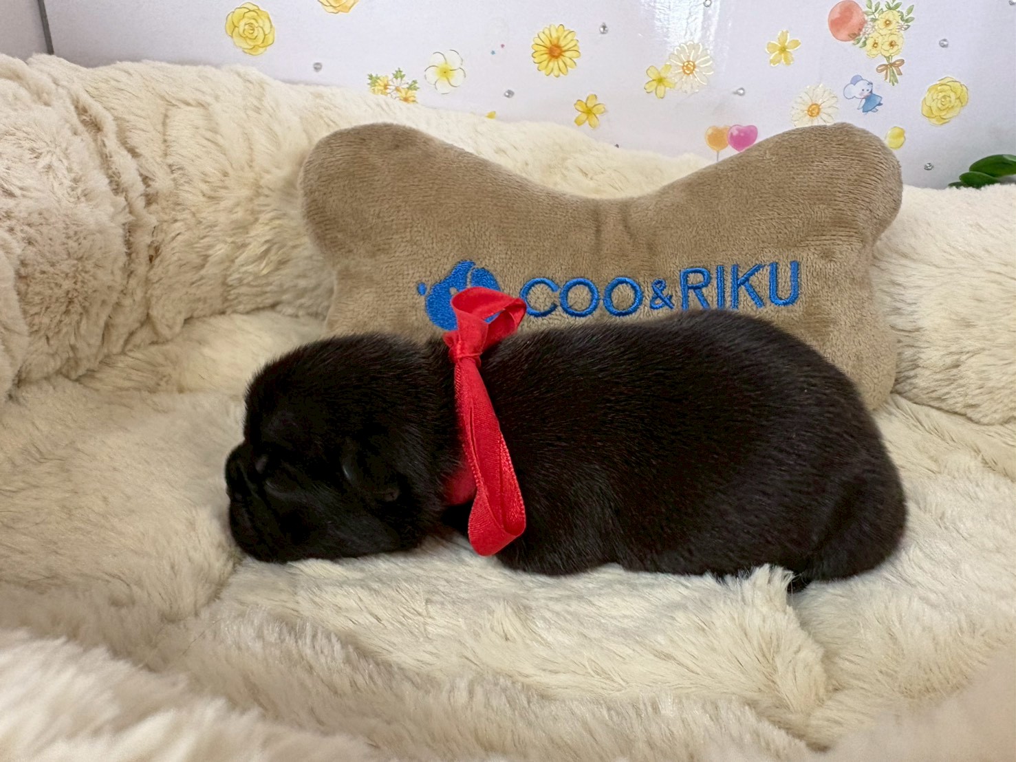 赤ちゃん写真1-2