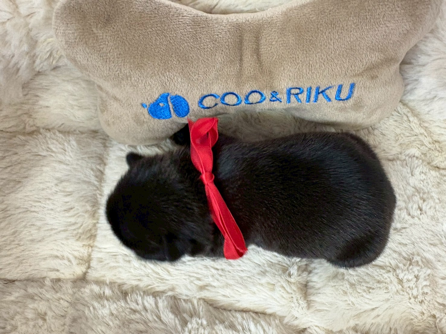 赤ちゃん写真1-3