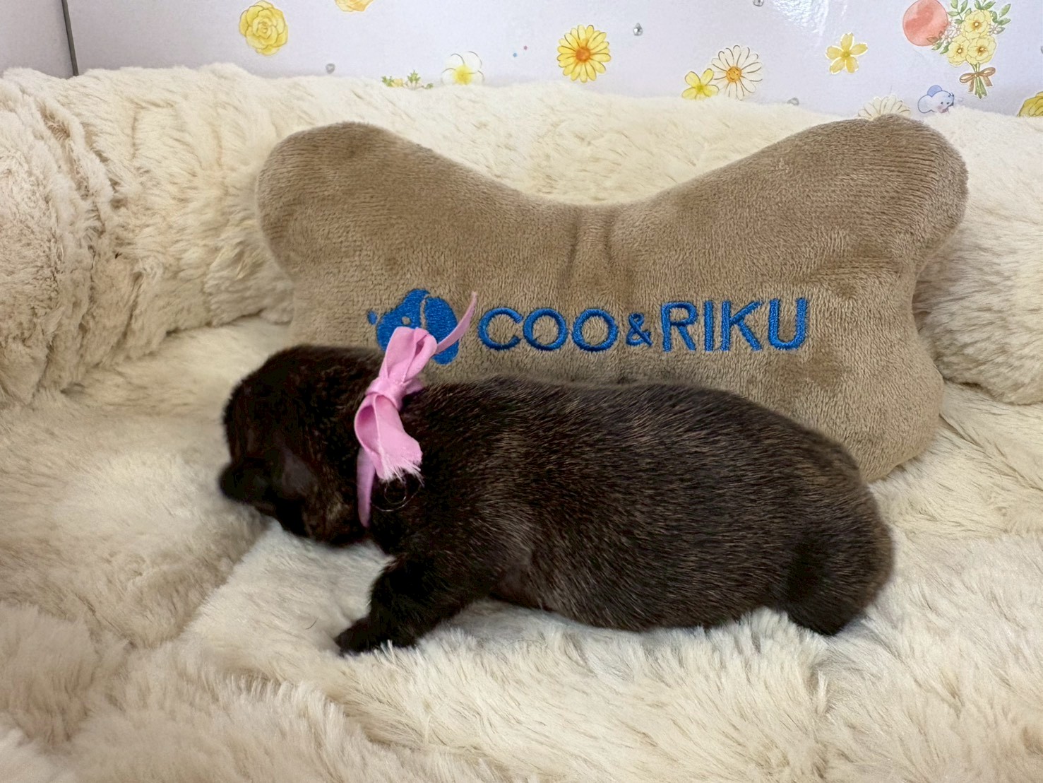 赤ちゃん写真1-2