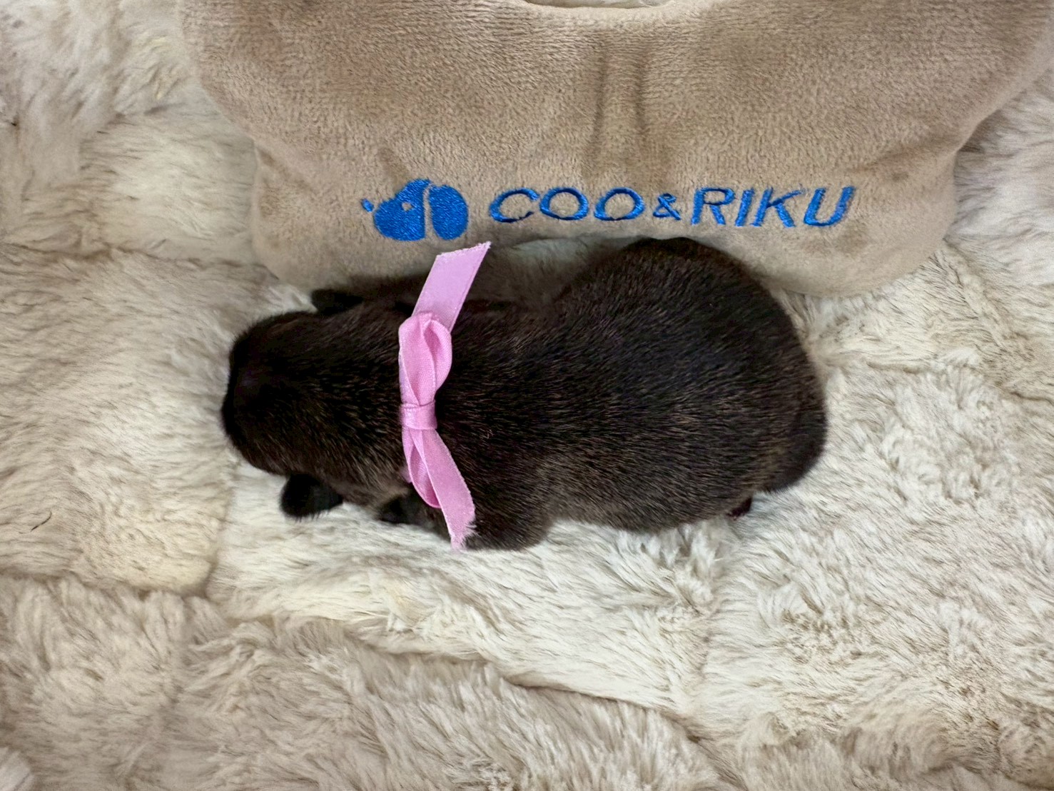 赤ちゃん写真1-3