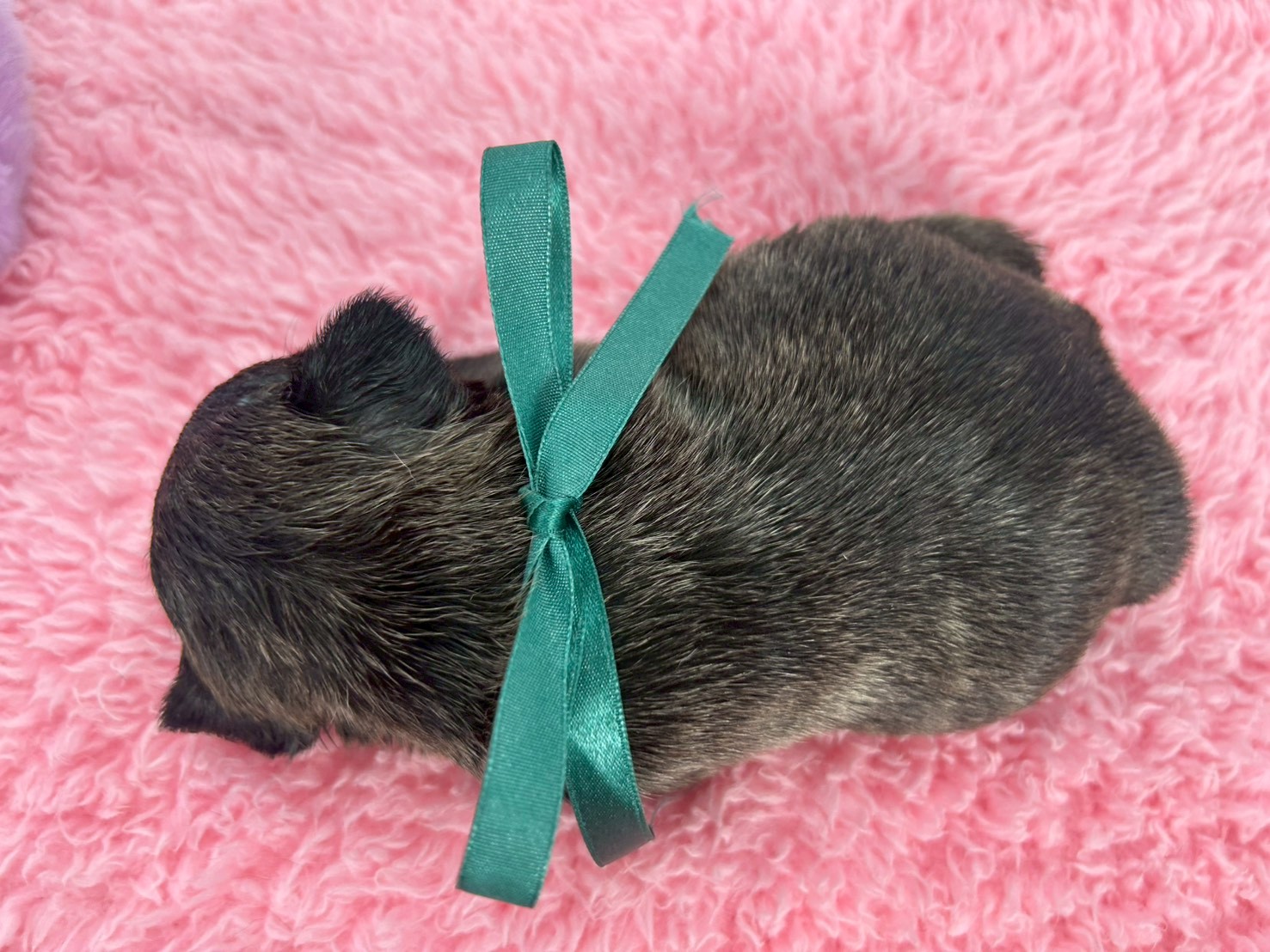 赤ちゃん写真2-3
