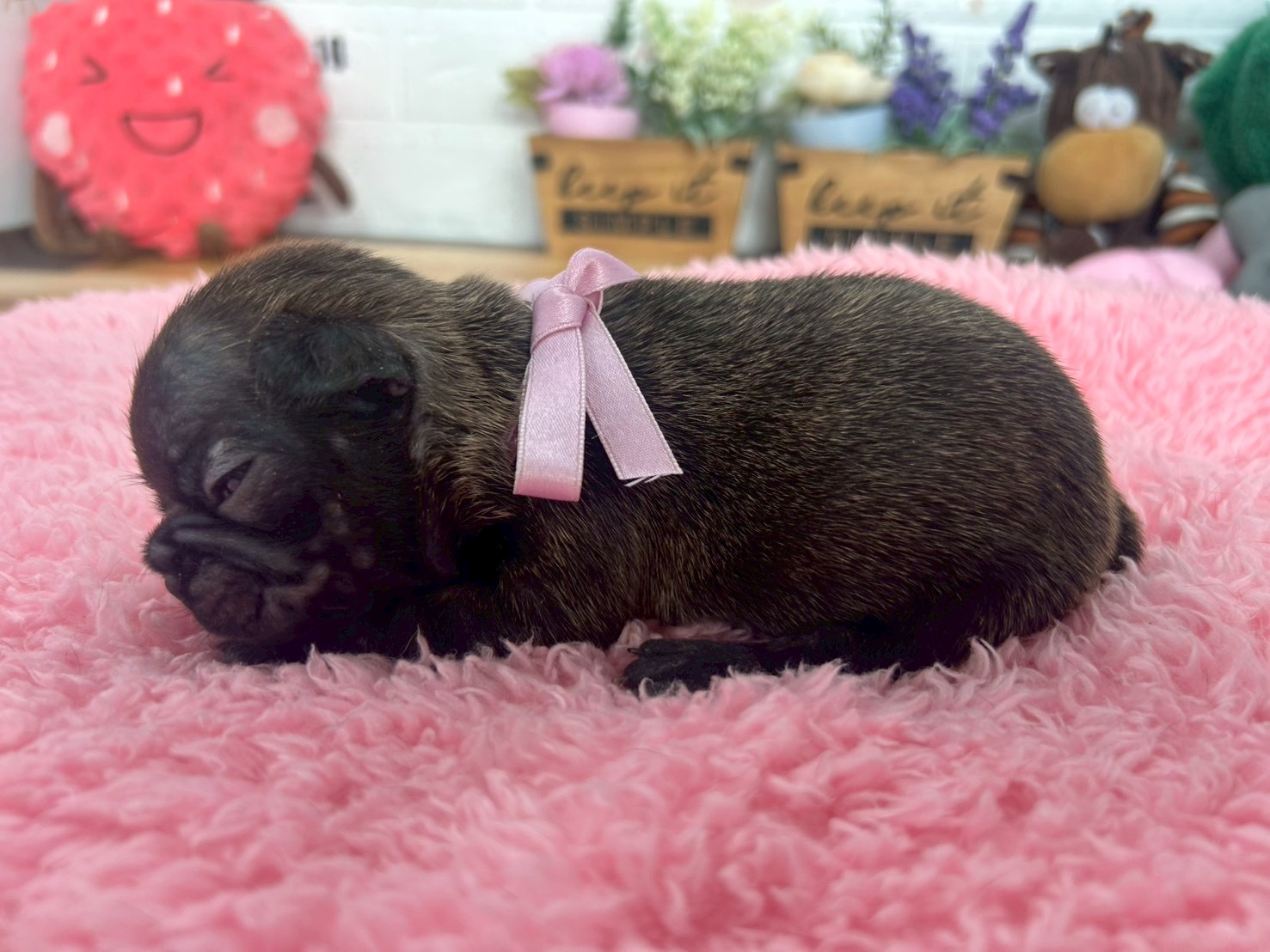 赤ちゃん写真2-2