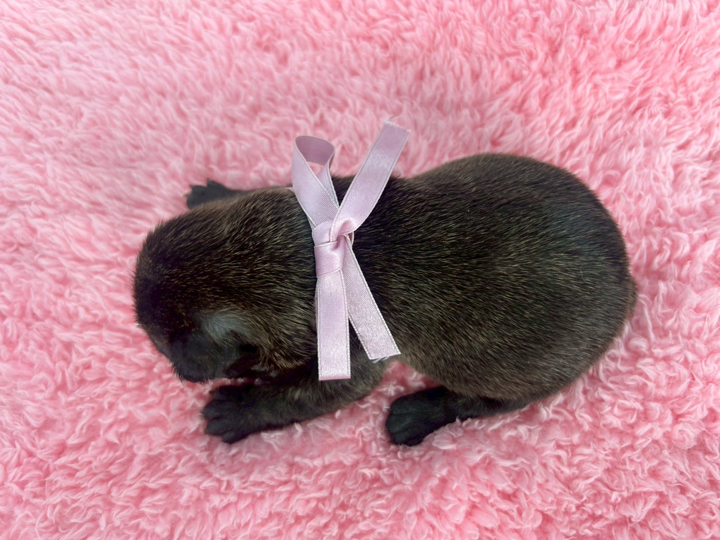 赤ちゃん写真2-3