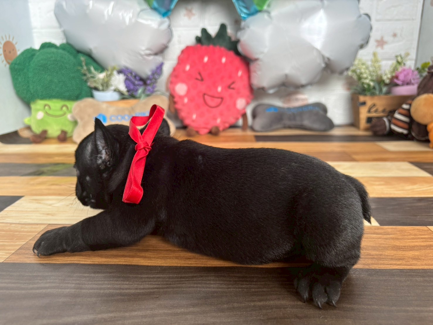 赤ちゃん写真3-2