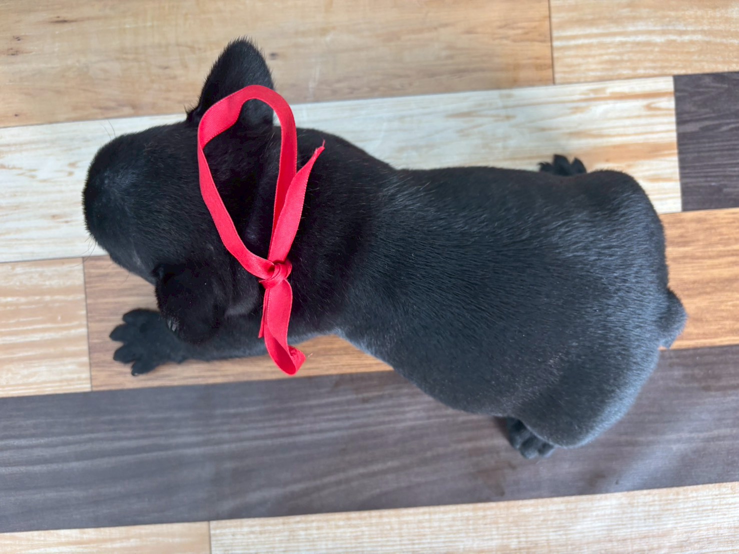 赤ちゃん写真3-3